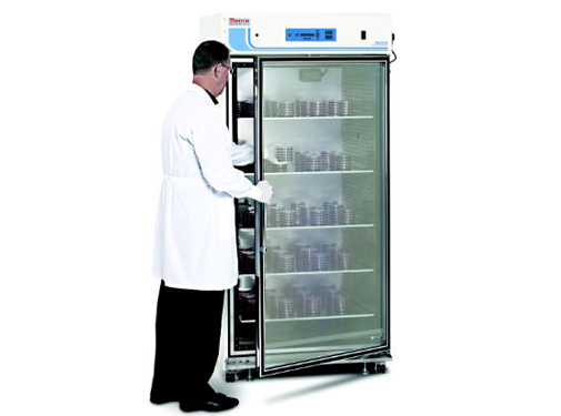 Large-Capacity Reach-In CO2 Incubator